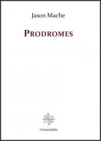 Ambre. Vol. 1. Prodromes. Sur Le palle en écharpe