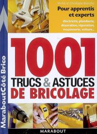 1.001 trucs et astuces de bricolage : pour apprentis et experts : électricité, plomberie, décoration, réparatin, maçoonerie, voiture...