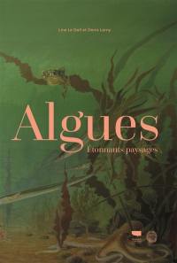 Algues : étonnants paysages