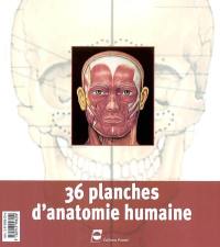 36 planches d'anatomie humaine