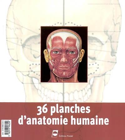 36 planches d'anatomie humaine