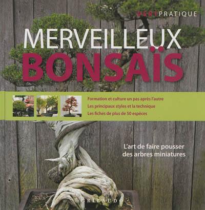 Merveilleux bonsaïs : l'art de faire pousser des arbres miniatures