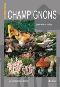 Champignons