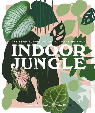 The Leaf Supply Guide to Creating Your Indoor Jungle