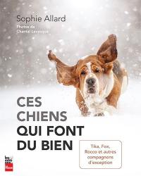 Ces chiens qui font du bien : Tika, Fox, Rocco et autres compagnons d'exception