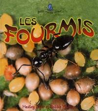 Les fourmis