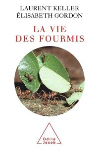 La vie des fourmis