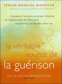 La véritable source de la guérison : comment l'ancienne pratique tibétaine de régénération de l'âme peut transformer et enrichir votre vie