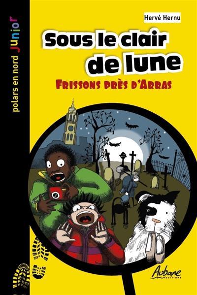 Une aventure de Léo Lemoine. Sous le clair de lune : frissons près d'Arras