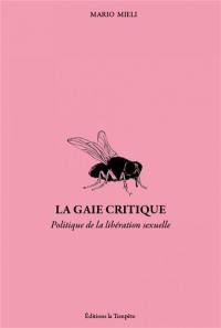 La gaie critique : politique et libération sexuelle dans les années soixante-dix : écrits (1972-1983)