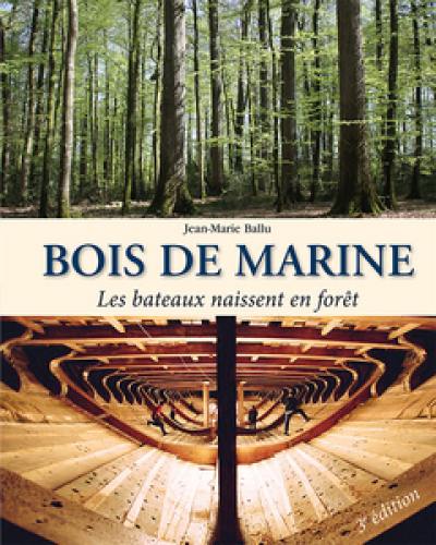 Bois de marine : les bateaux naissent en forêt