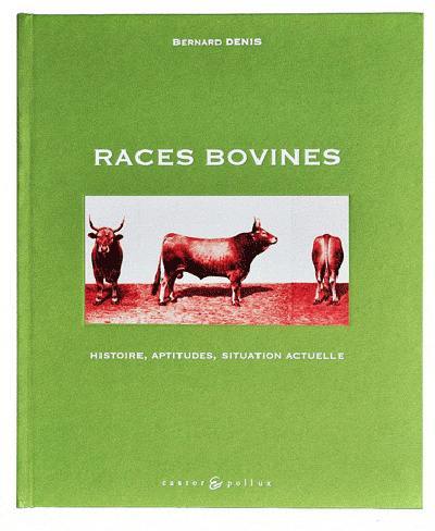 Races bovines : histoire, aptitudes, situation actuelle