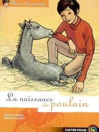 Clara et les poneys. Vol. 3. La naissance du poulain