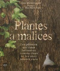 Plantes à malices : les plantes qui vous entourent comme vous ne les avez jamais vues