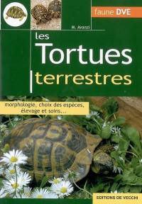 Les tortues terrestres