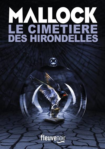 Le cimetière des hirondelles : thriller littéraire