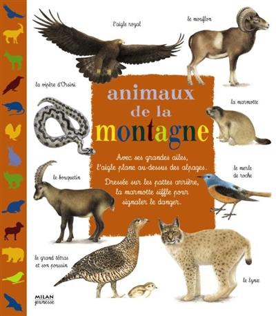 Animaux de la montagne