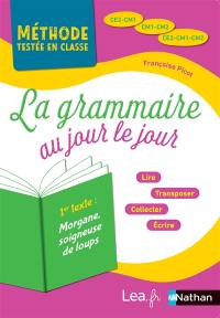 La grammaire au jour le jour, CE2-CM1, CM1-CM2, CE2-CM1-CM2 : programme 2018