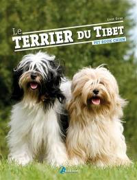 Le terrier du Tibet