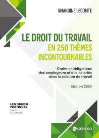 Le droit du travail en 250 thèmes incontournables : droits et obligations des employeurs et des salariés dans la relation de travail