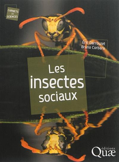 Les insectes sociaux