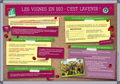 Les vignes en bio : c'est l'avenir