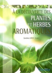 A la découverte des plantes et herbes aromatiques