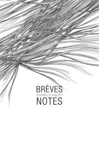 Brèves notes