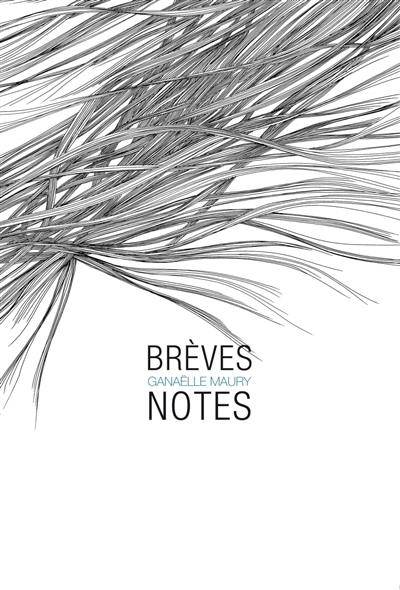 Brèves notes