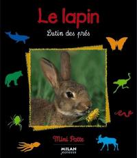 Le lapin : lutin des prés