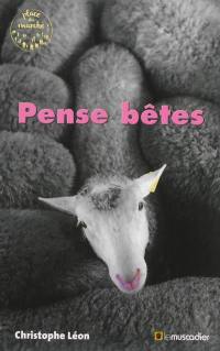 Pense bêtes