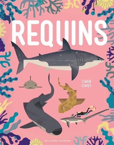 Requins