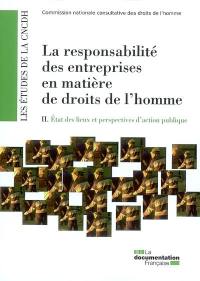 La responsabilité des entreprises en matière de droits de l'homme. Vol. 2. Etat des lieux et perspectives d'action publique