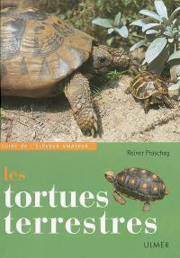 Les tortues terrestres