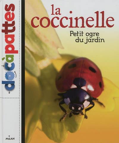 La coccinelle, petit ogre du jardin