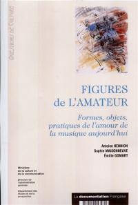 Figures de l'amateur : formes, objets, pratiques de l'amour de la musique aujourd'hui