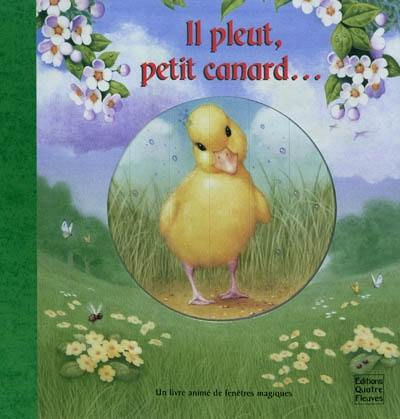 Il pleut, petit canard... : un livre animé de fenêtres magiques