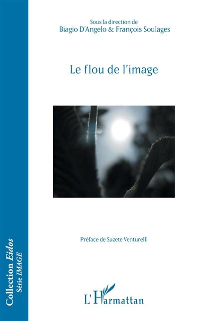 Le flou de l'image