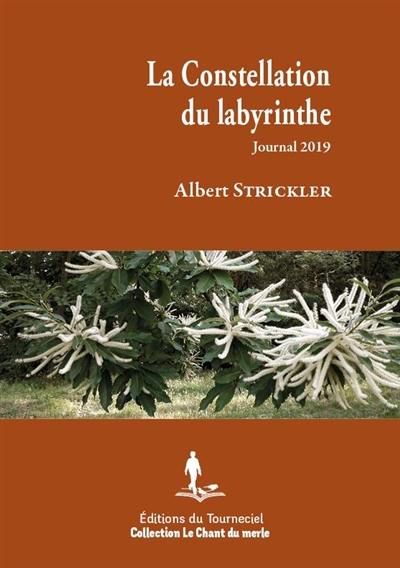 La constellation du labyrinthe : journal 2019