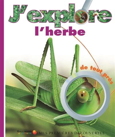 J'explore l'herbe de tout près