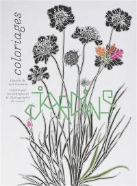 Jardins : coloriages