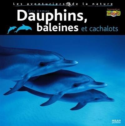 Dauphins et baleines