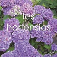 Les hortensias