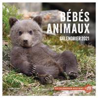 Bébés animaux : calendrier 2021