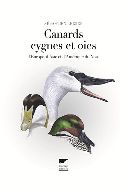 Canards, cygnes et oies : d'Europe, d'Asie et d'Amérique du Nord