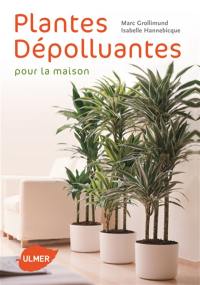 Plantes dépolluantes pour la maison