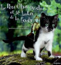 Le petit chat perdu et le lutin de la forêt