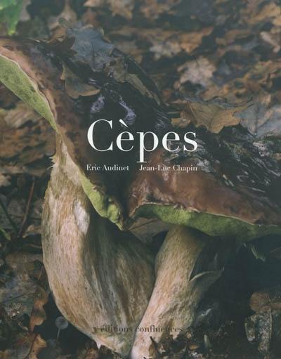 Cèpes