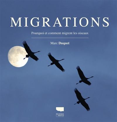 Migrations : pourquoi et comment migrent les oiseaux