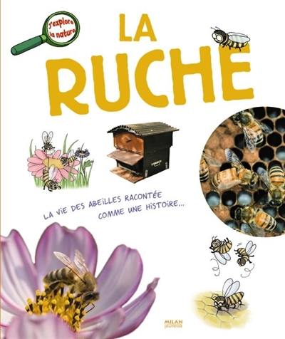 La ruche : la vie des abeilles racontée comme une histoire...